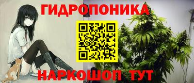 PSILOCYBIN Тулун