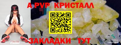 спайс Тара