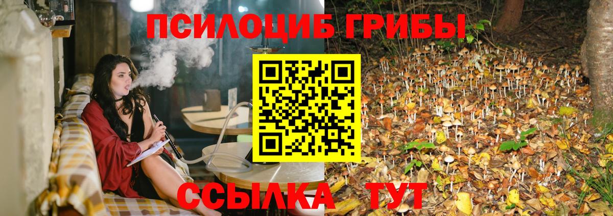 Псилоцибиновые грибы Psilocybine cubensis  Псилоцибиновые грибы MAGIC MUSHROOMS  Нурлат  Вход с VPN 